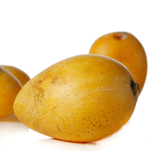 北京小台农芒果便宜价格 攀枝花芒果质量好吗