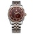 罗西尼手表新款男士手表皮带/钢带进口机械机芯大表盘男表7617(棕色钢带)第2张高清大图