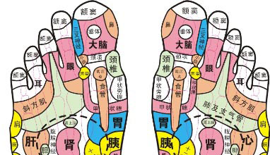 领雁l-168a足浴盆