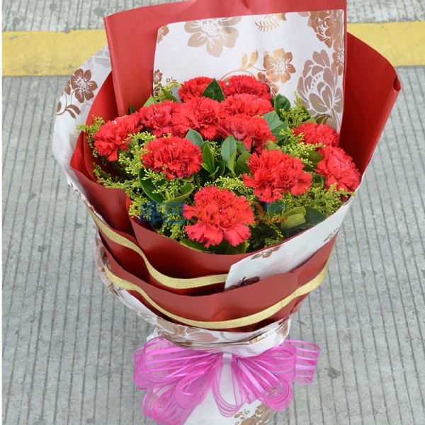 花集鲜花速递 12枝粉色康乃馨 亲情浩恩 祝福鲜花预定