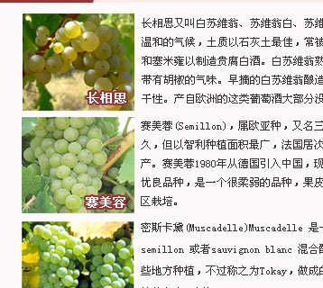 20121025163520108.jpg