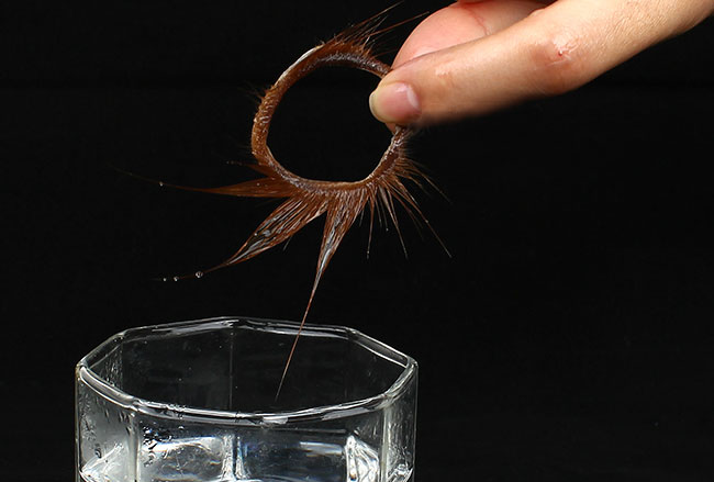 爱侣天然羊眼圈刺激阴di瞬间到达云端快感男用延时锁精套环