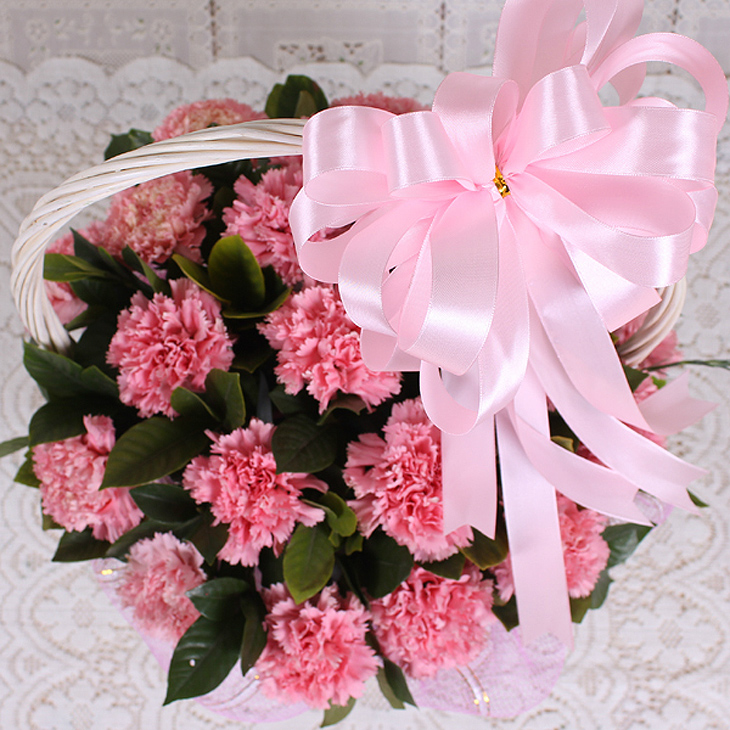 中礼鲜花速递全国19朵粉色康乃馨手提花篮祝福花篮节日鲜花