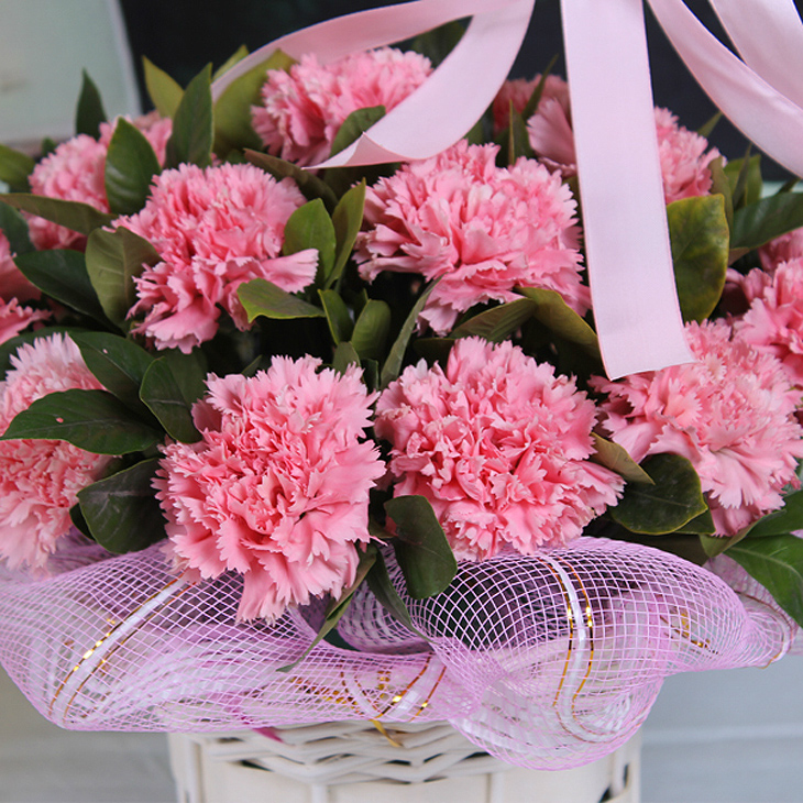 中礼鲜花速递全国19朵粉色康乃馨手提花篮祝福花篮节日鲜花