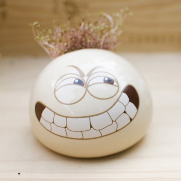 乐艺 萌逗秀桌面表情盆栽 萌恶