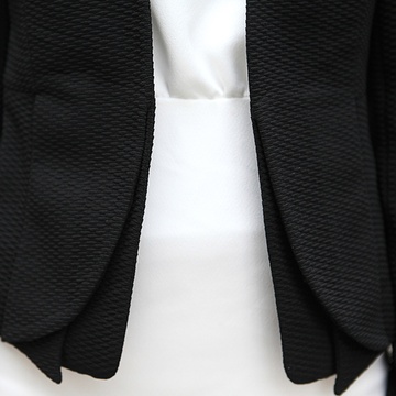 2013秋装新款外套 韩版时装 女士修身OL小西装时尚休闲韩版A8178(黑色 S)