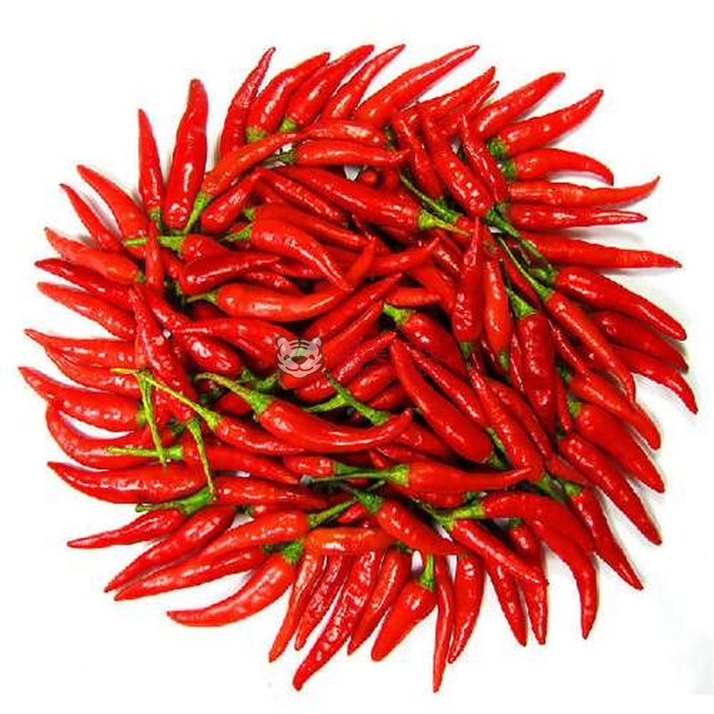 大漠果农新鲜蔬菜红尖椒一斤